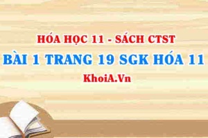Bài 1 trang 19 SGK Hóa 11 Chân trời sáng tạo